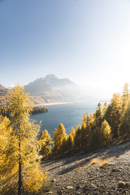 Autumn Lake - Image 2