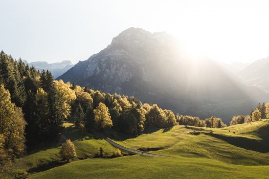 Autumn Sunlight - Image 2