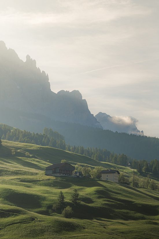 Morning Glow - Image 2